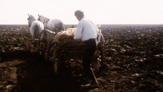 The Death of Djurica the Peasant Trailer