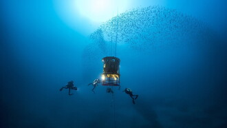 The Deep Med Trailer