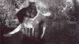 The Devil Bear Trailer