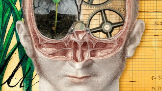 The Divided Brain Trailer