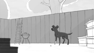 The Dog Trailer