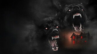 The Dogs Trailer