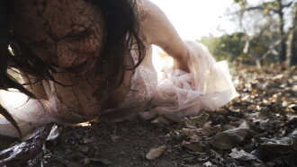 The Doll Trailer