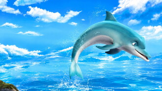 The Dolphin: Story of a Dreamer Trailer