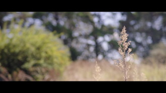 The Dropoff Trailer