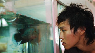 The Elephant and the Sea Trailer