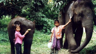 The Elephant Boy Trailer