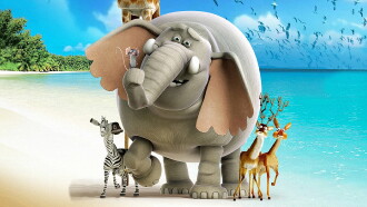 The Elephant King Trailer