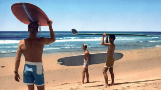 The Endless Summer Trailer