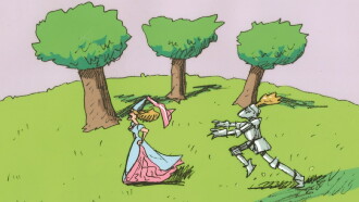 The Exciting Life of a Tree Trailer