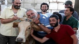 The Exiled Cow Trailer