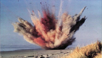 The Exploding Whale of Florence, Oregon Trailer