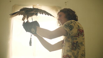 The Falconer Trailer