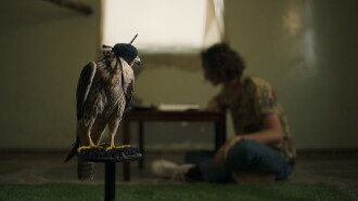 The Falconer Trailer