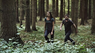 The Fall Trailer