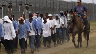 The Farm: Angola, USA Trailer