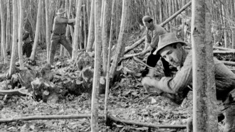 The Felling of the Forest Trailer