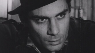 The Felling of the Forest Trailer