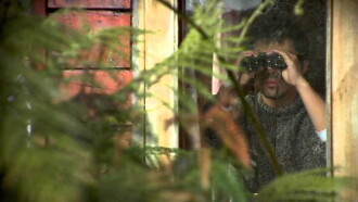 The Fern's Army Trailer
