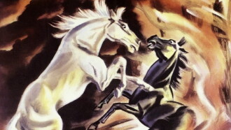 The Fighting Stallion Trailer