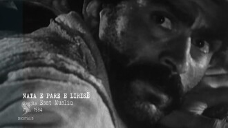 The First Night of Freedom Trailer