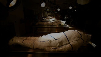 The First Patient Trailer