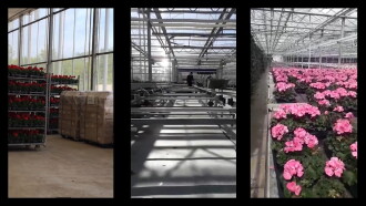 The Flowers Trailer