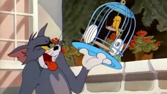The Flying Cat Trailer