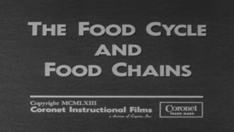 The Food Cycle and Food Chains Trailer