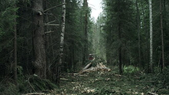 The Forest Trailer