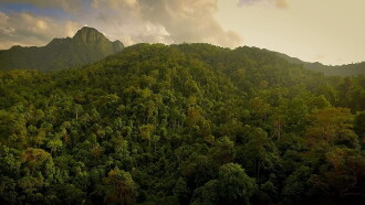 The Forgotten Forests of Malaysia Trailer