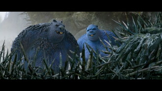 The Fox & the Bird Trailer