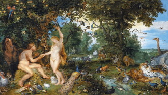 The Garden of Eden Trailer