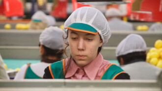 The Girl in the Lemon Factory Trailer