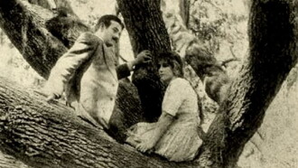 The Girl of the Grove Trailer