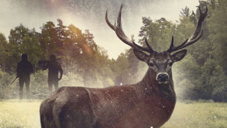 The Godfather Buck Trailer
