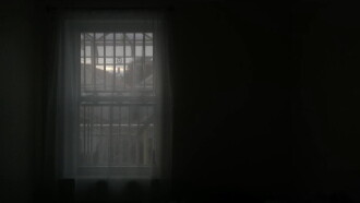 The Grandmother Dream Trailer
