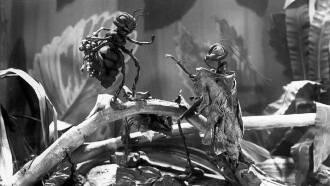 The Grasshopper and the Ant Trailer