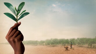 The Great Green Wall Trailer