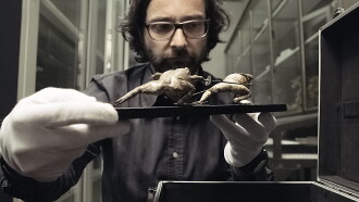 The Great Museum Trailer