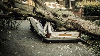 The Great Storm of '87 Trailer