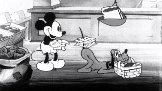 The Grocery Boy Trailer