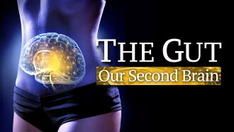 The Gut: Our Second Brain Trailer