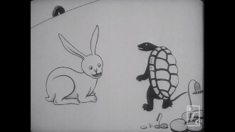 The Hare and the Tortoise Trailer