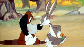 The Heckling Hare Trailer
