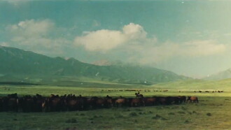 The Herdsman Trailer