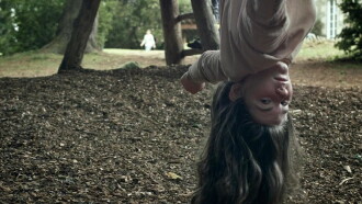 The Hexagonal Hive and a Mouse in a Maze Trailer