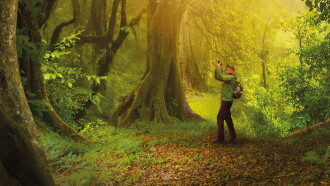 The Hidden Life of Trees Trailer