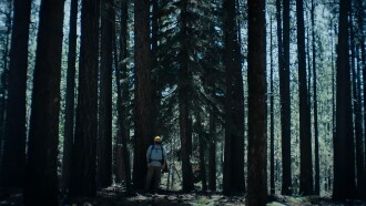The Hidebehind Trailer