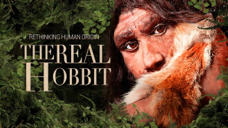 The Hobbit Enigma Trailer
